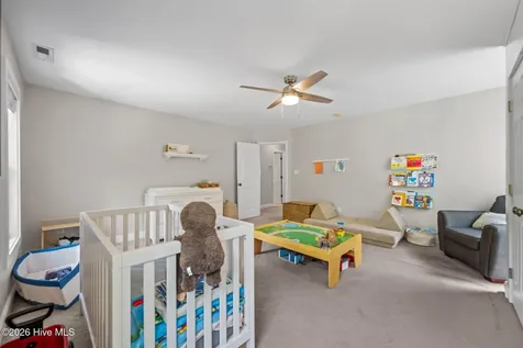 167 Old Millstone Lane Sneads Ferry NC 28460