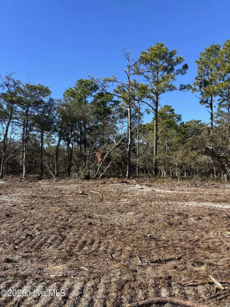 Lot 132 Coral Gull Street Southport NC 28461