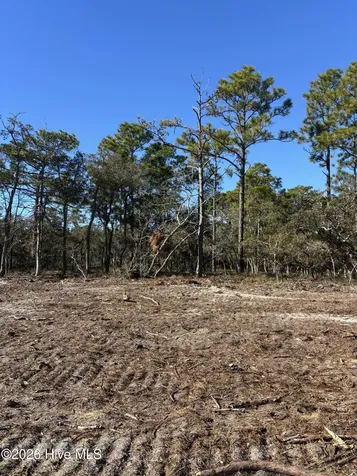 Lot 132 Coral Gull Street Southport NC 28461