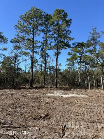 Lot 124 Coral Gull Street Southport NC 28461