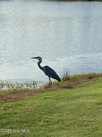870 Great Egret Circle SW Sunset Beach NC 28468