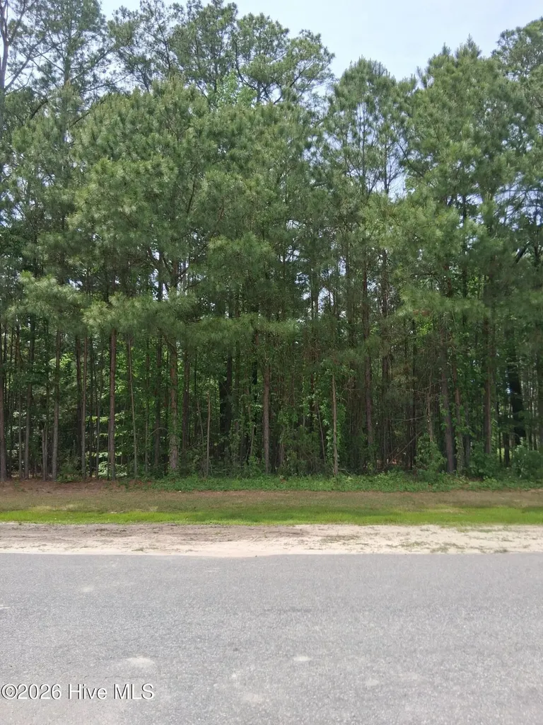 17 Scuppernong River Drive Hertford NC 27944