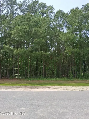 17 Scuppernong River Drive Hertford NC 27944