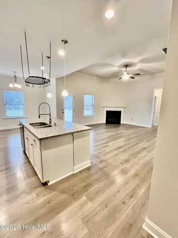 208 S Merganser Drive Pikeville NC 27863