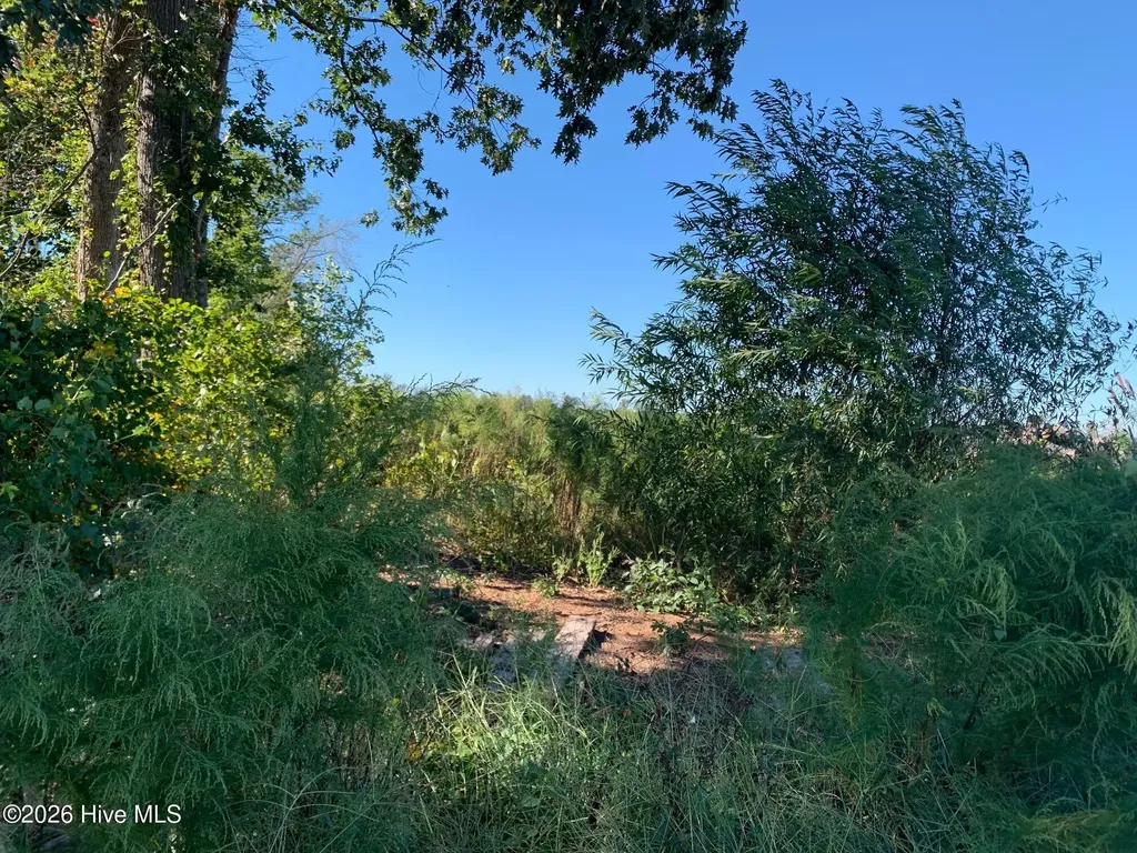 Tbd Hendrix Lane Windsor NC 27983