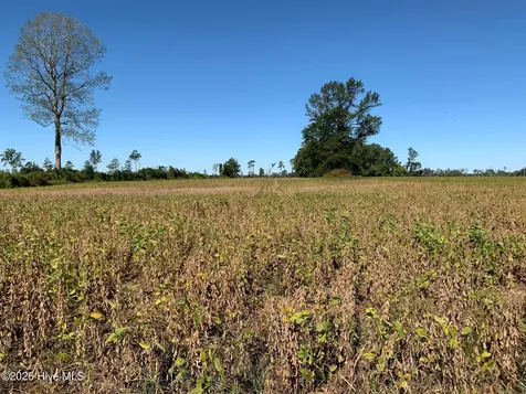 Tbd Hendrix Lane Windsor NC 27983