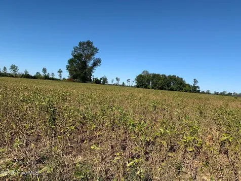 Tbd Hendrix Lane Windsor NC 27983