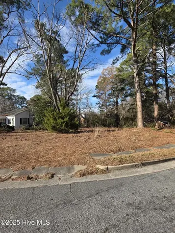 404 Summit Avenue Kinston NC 28501