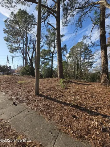 404 Summit Avenue Kinston NC 28501