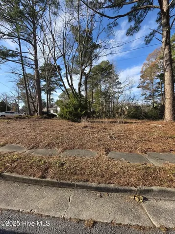 404 Summit Avenue Kinston NC 28501