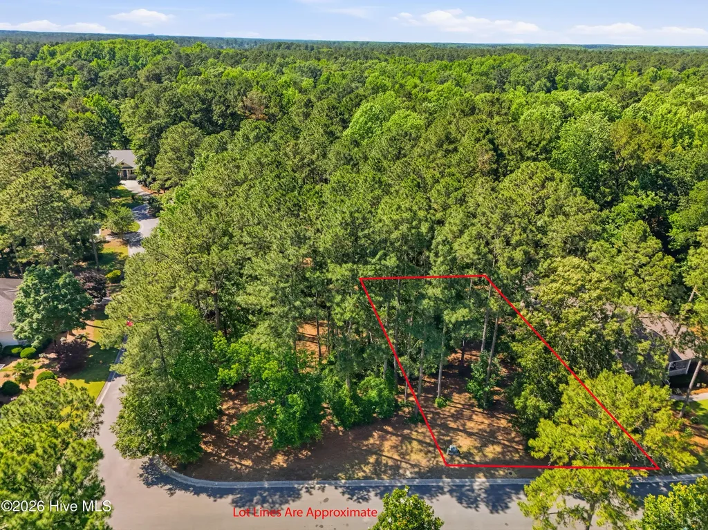 116 Magnolia Bay Lane Wallace NC 28466