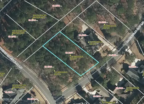 116 Magnolia Bay Lane Wallace NC 28466