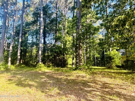 116 Magnolia Bay Lane Wallace NC 28466