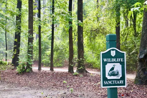 116 Magnolia Bay Lane Wallace NC 28466