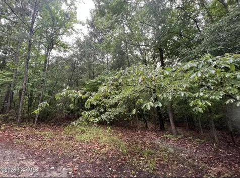 Tbd Buggy Drive W Carthage NC 28327