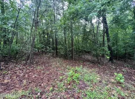 Tbd Buggy Drive W Carthage NC 28327