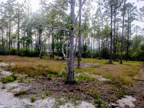 349 Fifty Lakes Drive Southport NC 28461