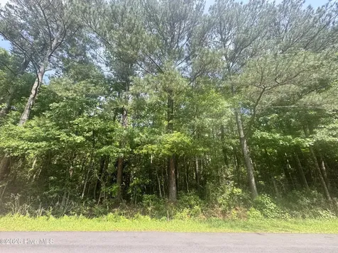 0 Oak Hills Drive Rocky Point NC 28457