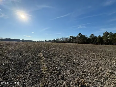 Off Of Nc-131 Highway Bladenboro NC 28320