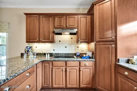 1123 Lillibridge Drive Leland NC 28451