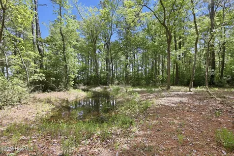 307 Crows Nest Road Beaufort NC 28516