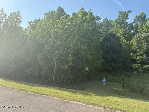 0 Treasure Pointe Drive Bath NC 27808