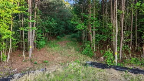 0 Pendergrass Drive Princeton NC 27569
