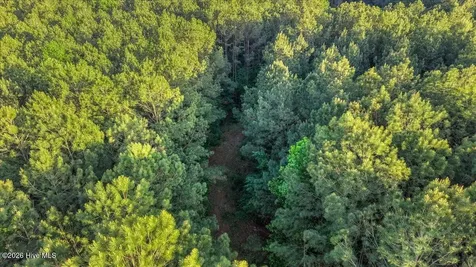 0 Pendergrass Drive Princeton NC 27569