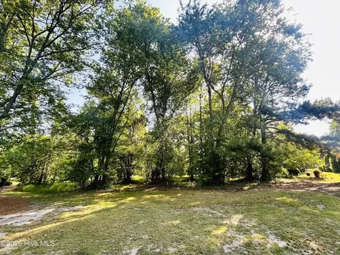 136 Sugar Maple Court Wallace NC 28466