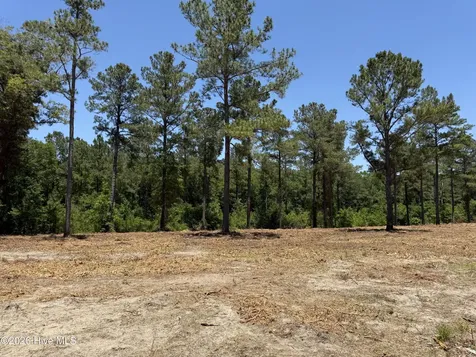 Sr 1323 Dowd Dairy Road White Oak NC 28399