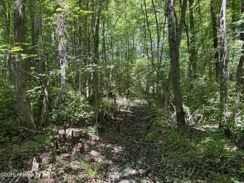 Sr 1323 Dowd Dairy Road White Oak NC 28399