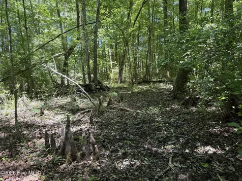 Sr 1323 Dowd Dairy Road White Oak NC 28399