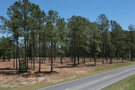 Sr 1323 Dowd Dairy Road White Oak NC 28399