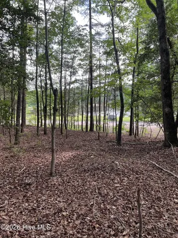 Lot 84 Appaloosa Lake Drive Carthage NC 28327