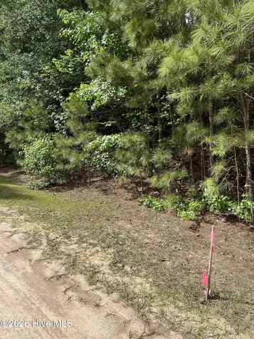 Lot 84 Appaloosa Lake Drive Carthage NC 28327