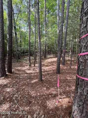 Lot 84 Appaloosa Lake Drive Carthage NC 28327