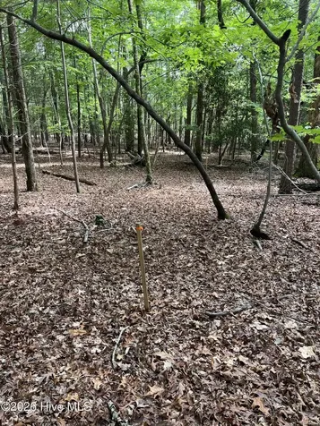 Lot 84 Appaloosa Lake Drive Carthage NC 28327
