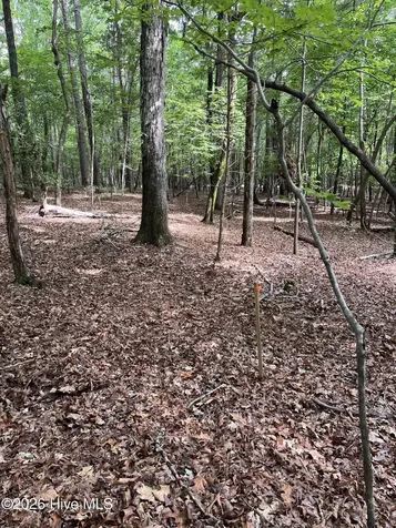 Lot 84 Appaloosa Lake Drive Carthage NC 28327