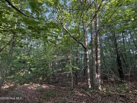 150 Watsons Way Rockingham NC 28379