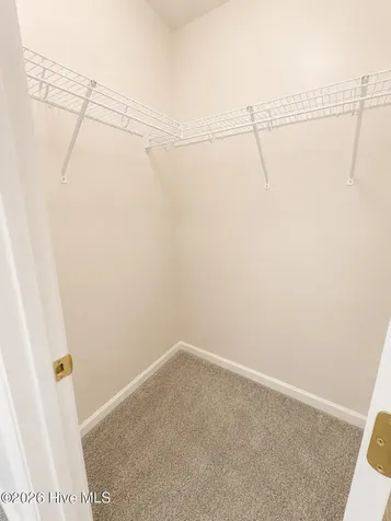 2235 Locksley Woods Drive Greenville NC 27858