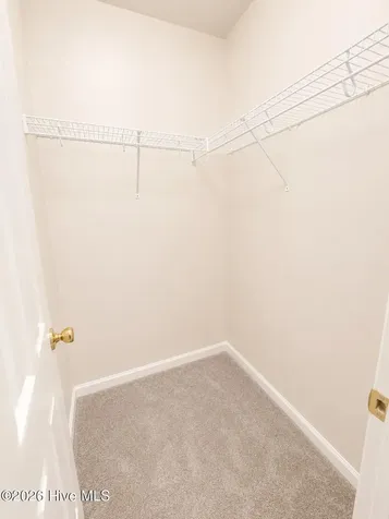 2235 Locksley Woods Drive Greenville NC 27858