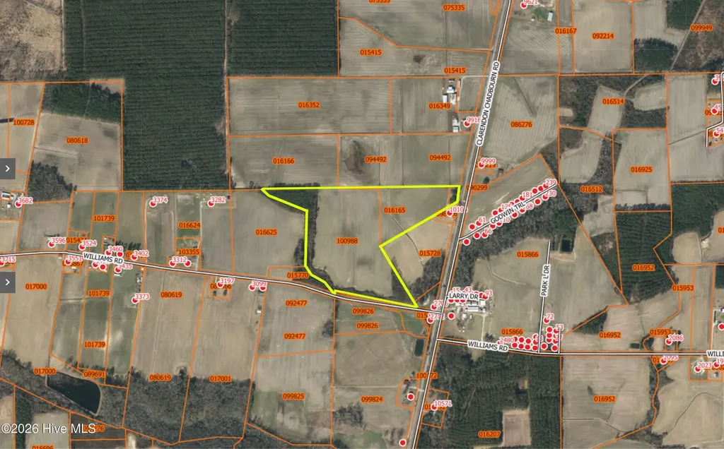 Near 10106 Clarendon Chadbourn Road Clarendon NC 28432