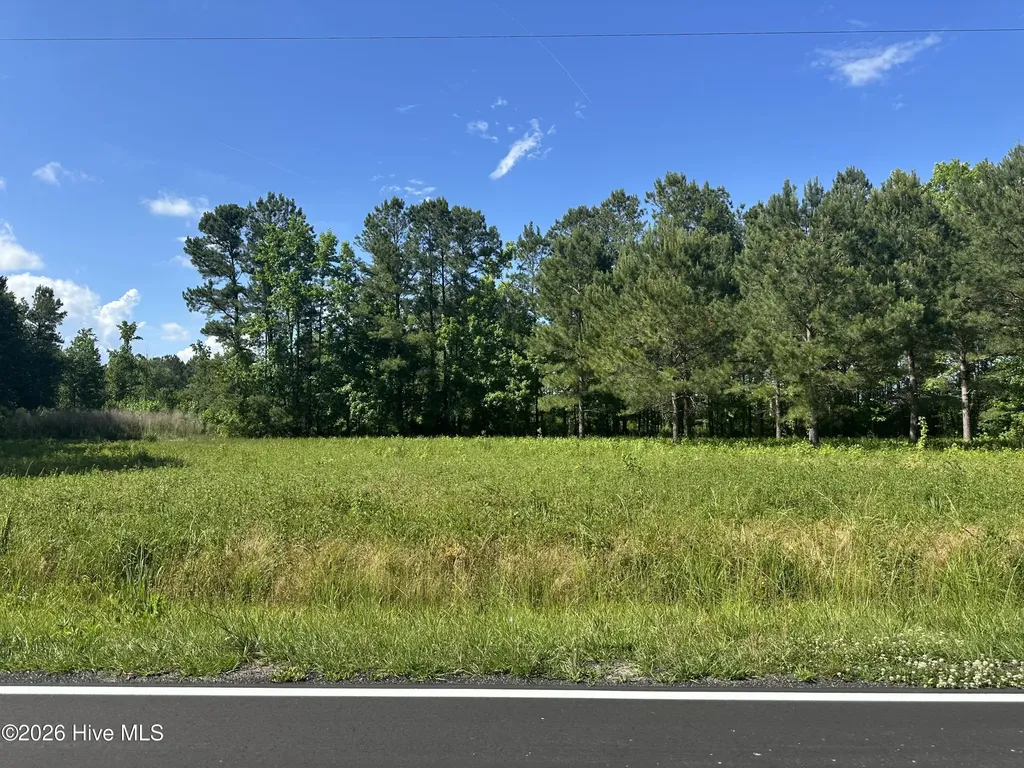 Near 594 Big Cypress Road Nakina NC 28455