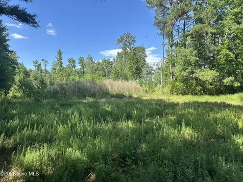 Near 594 Big Cypress Road Nakina NC 28455