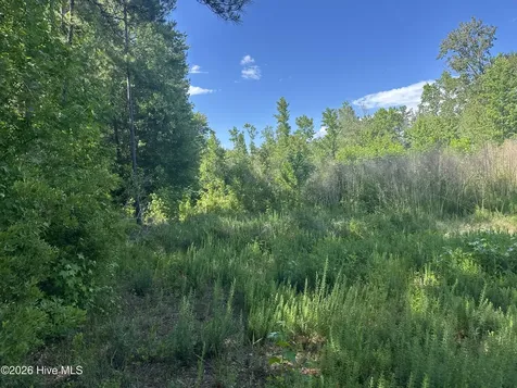 Near 594 Big Cypress Road Nakina NC 28455