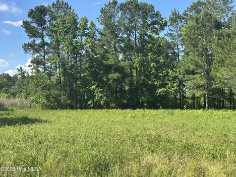 Near 594 Big Cypress Road Nakina NC 28455