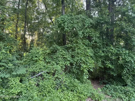 Lot 6 Boyd Park Drive Greenville NC 27858