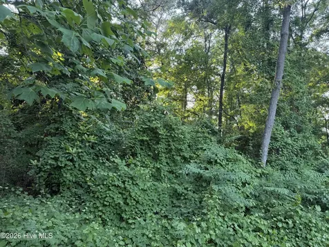 Lot 6 Boyd Park Drive Greenville NC 27858