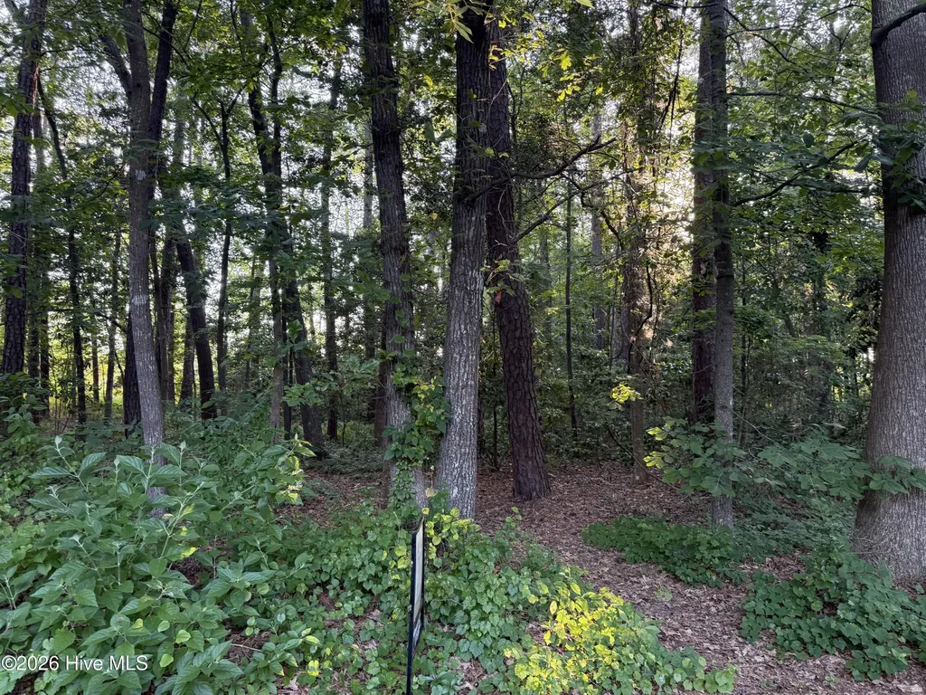 Lot 7 Boyd Park Drive Greenville NC 27858