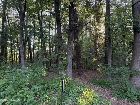 Lot 7 Boyd Park Drive Greenville NC 27858